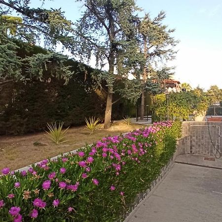 Villa Mary - Apartments Trani Εξωτερικό φωτογραφία