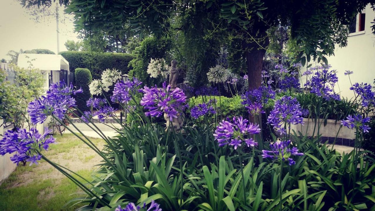 Villa Mary - Apartments Trani Εξωτερικό φωτογραφία